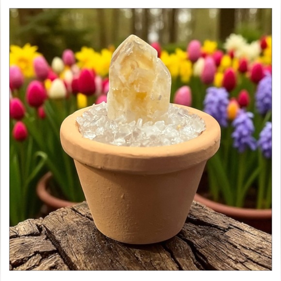 Citrine crystal in MINI Terracotta Pot - Picture 2 of 5